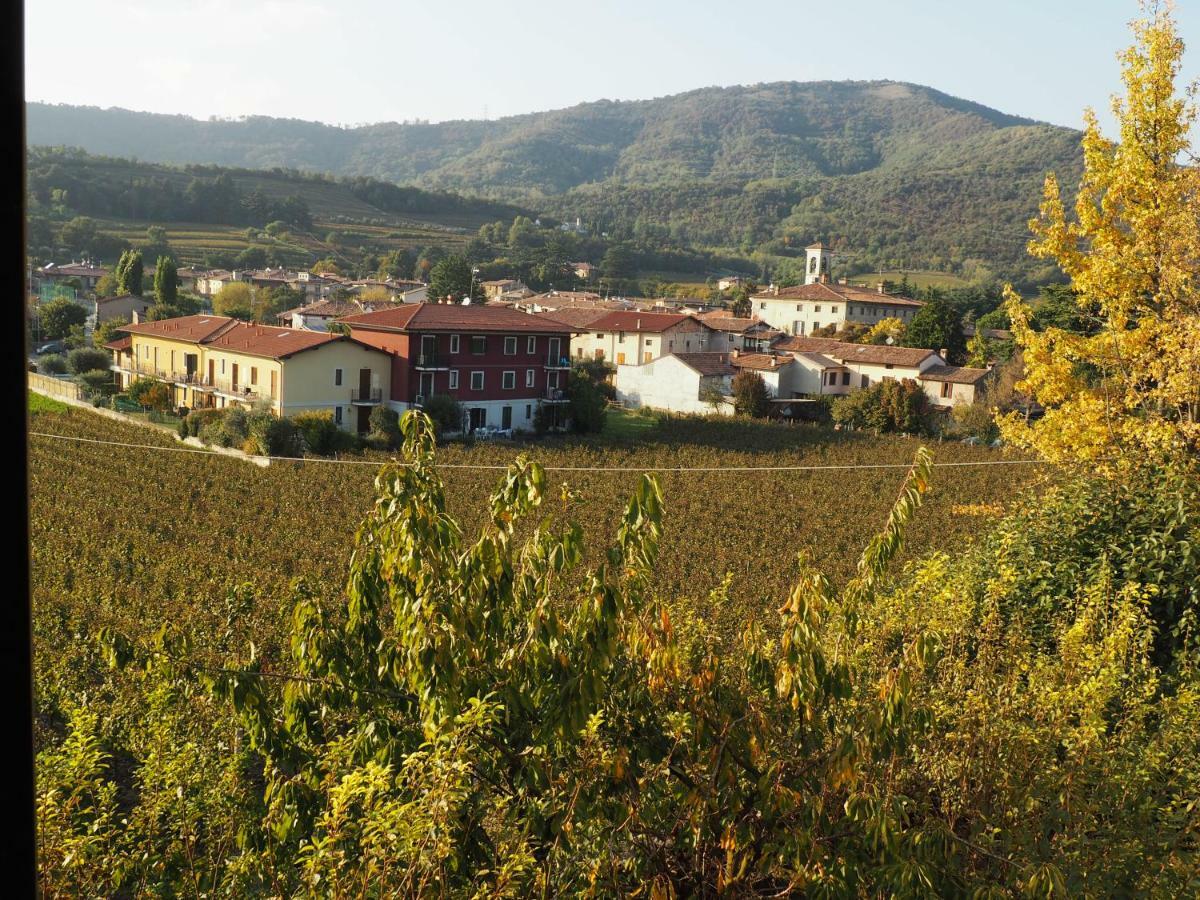 Il Dosso Bed and breakfast