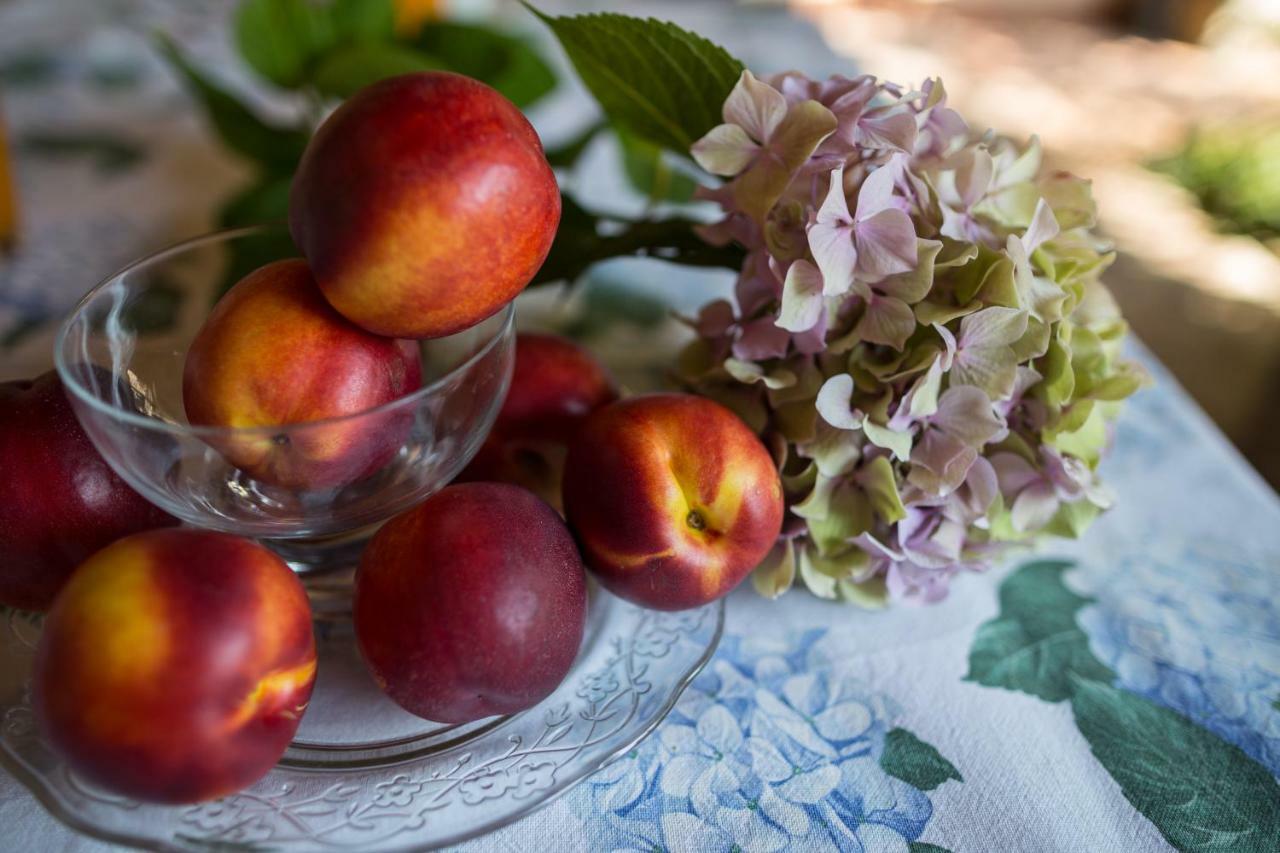 Il Dosso Bed and breakfast